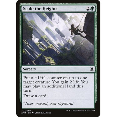 Scale the Heights