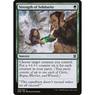 Strength of Solidarity