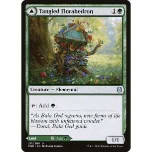 Tangled Florahedron //...