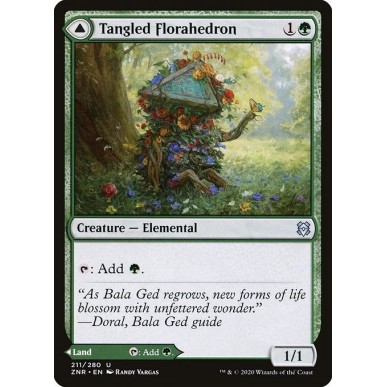 Tangled Florahedron // Tangled Vale