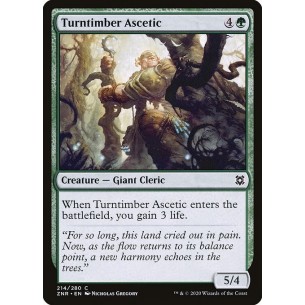 Turntimber Ascetic
