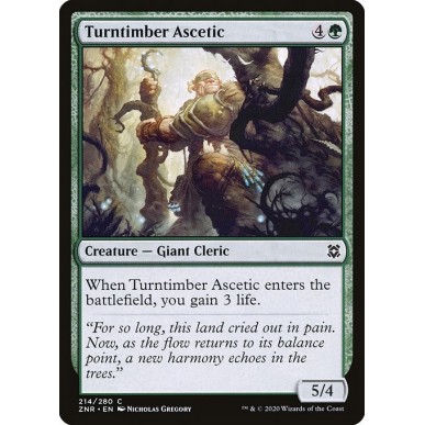 Turntimber Ascetic
