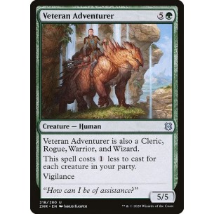 Veteran Adventurer