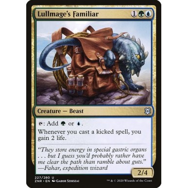Lullmage's Familiar