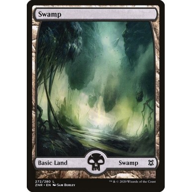 Swamp