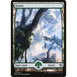 Forest