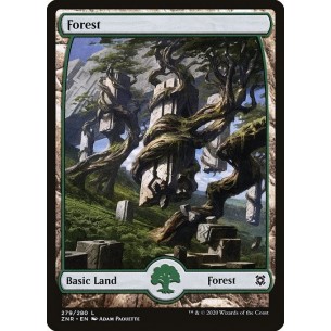 Forest