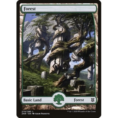 Forest