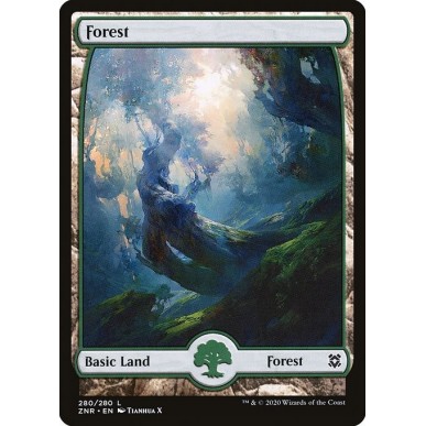 Forest
