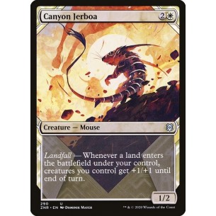 Gerboa del Canyon