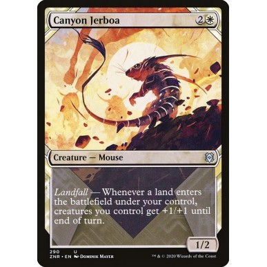 Gerboa del Canyon