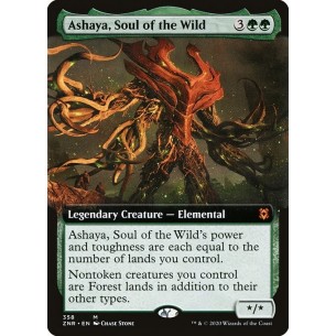 Ashaya, Soul of the Wild