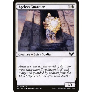 Ageless Guardian