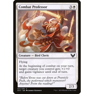 Professore di Combattimento