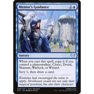 Mentor's Guidance