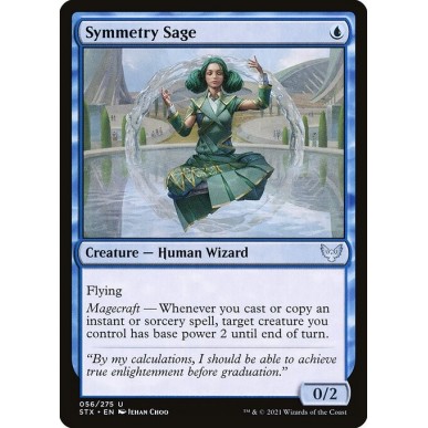 Symmetry Sage