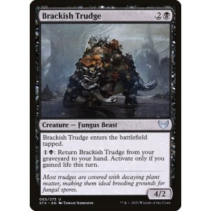 Brackish Trudge