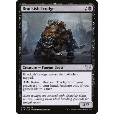 Brackish Trudge