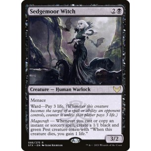 Sedgemoor Witch