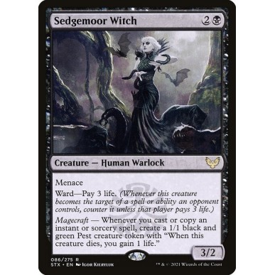 Sedgemoor Witch