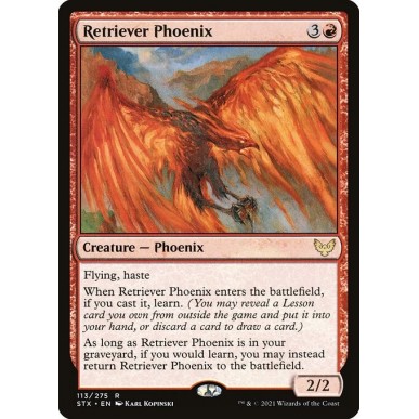 Retriever Phoenix