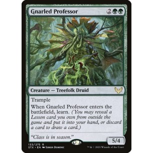 Gnarled Professor