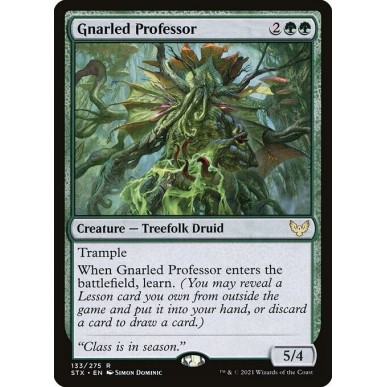 Gnarled Professor