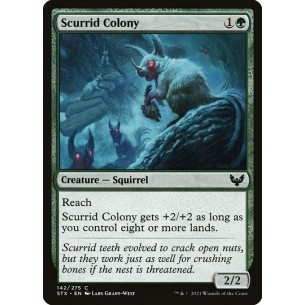 Scurrid Colony