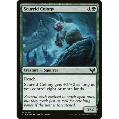 Scurrid Colony