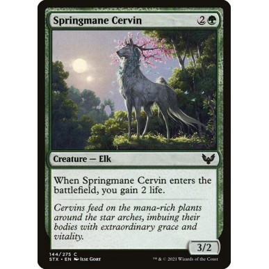 Springmane Cervin