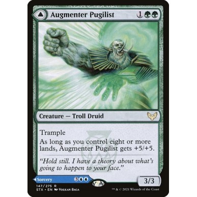 Augmenter Pugilist // Echoing Equation