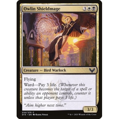 Owlin Shieldmage
