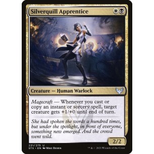 Apprendista di Pennargento