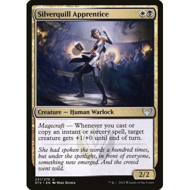 Apprendista di Pennargento