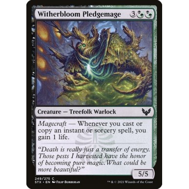 Witherbloom Pledgemage