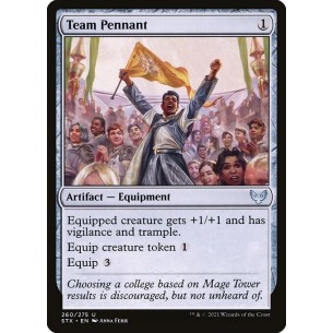 Stendardo della Squadra