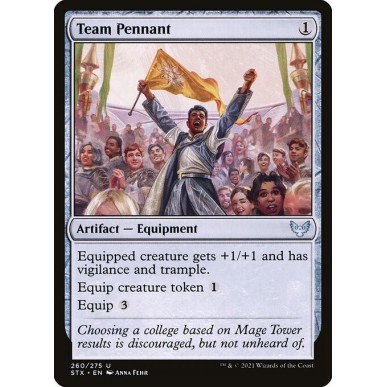 Stendardo della Squadra