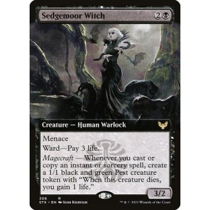Sedgemoor Witch
