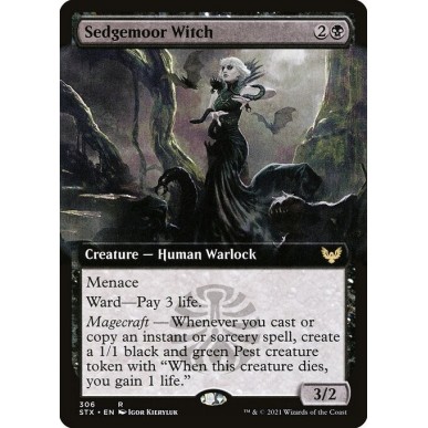 Sedgemoor Witch