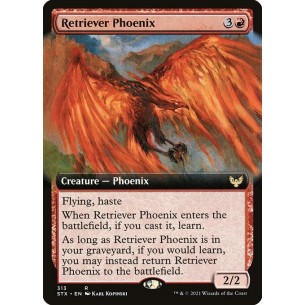 Retriever Phoenix