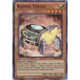 Bujingi Turtle