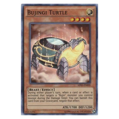 Bujingi Tartaruga
