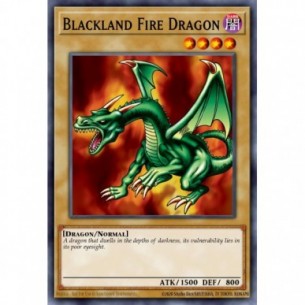 Blackland Fire Dragon