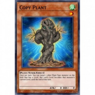 Copy Plant