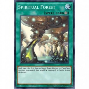 Spiritual Forest