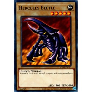 Hercules Beetle