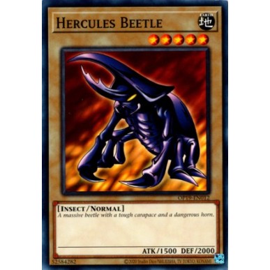 Scarabeo Erculeo