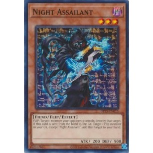 Night Assailant