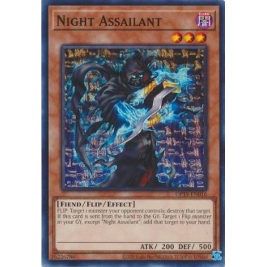 Night Assailant