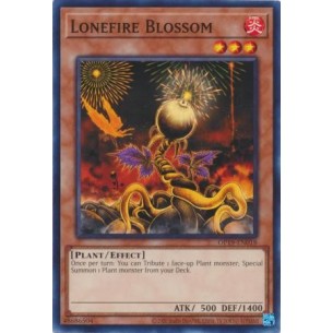 Lonefire Blossom